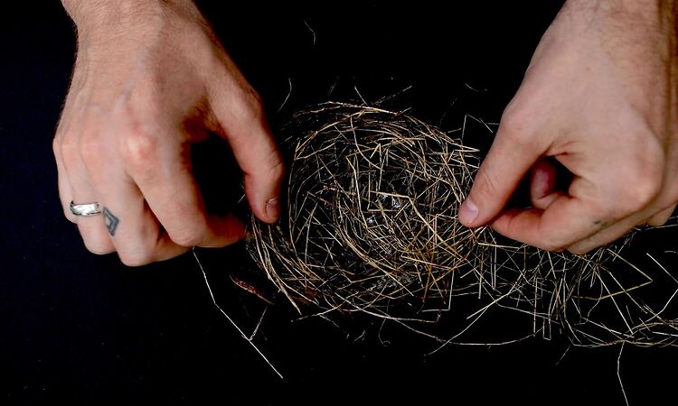 Hiss Golden Messenger - Terms of Surrender (Official Audio)