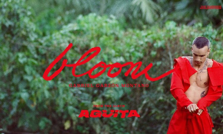 Gabriel Garzón-Montano - Bloom (Official Audio) // Agüita LP