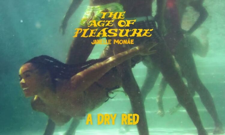 Janelle Monáe - A Dry Red [Official Audio]