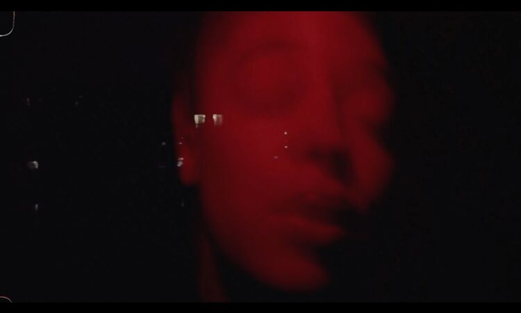 Lost Horizons feat. The Hempolics - I Woke Up With An Open Heart (Official Video)