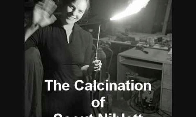 The Calcination of Scout Niblett
