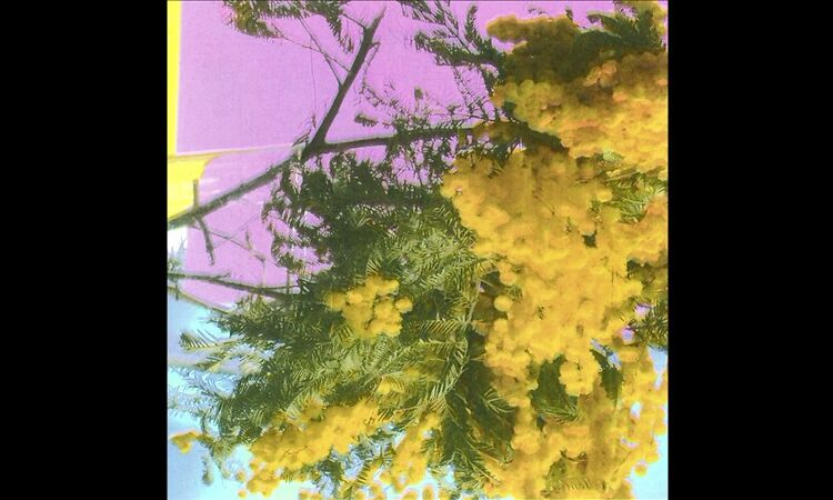 Four Tet - Into Dust (Still Falling) (Extended Mix)