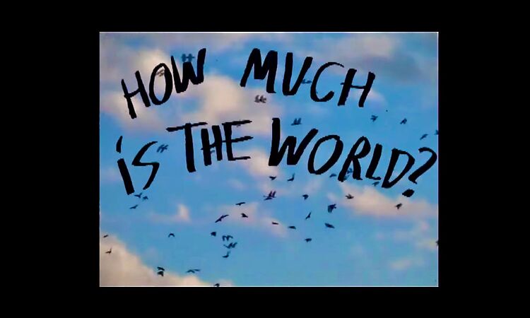 Molly Nilsson "How Much Is The World"