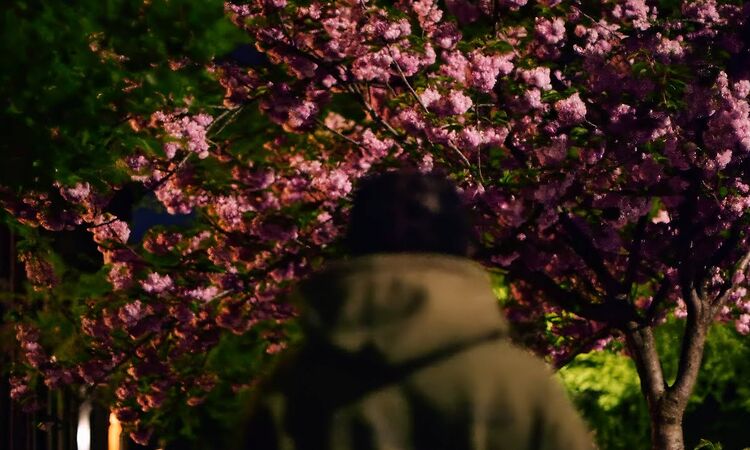 billy woods "Born Alone" [OFFICIAL VIDEO]