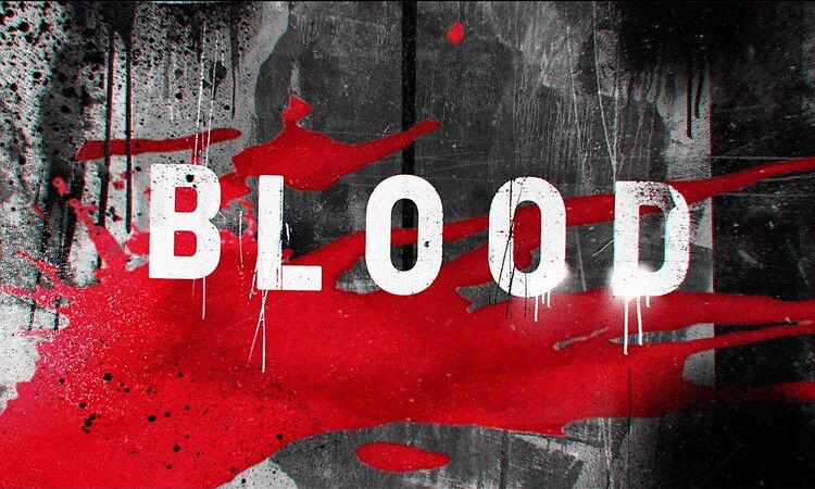 Dropkick Murphys "Blood" (official video)