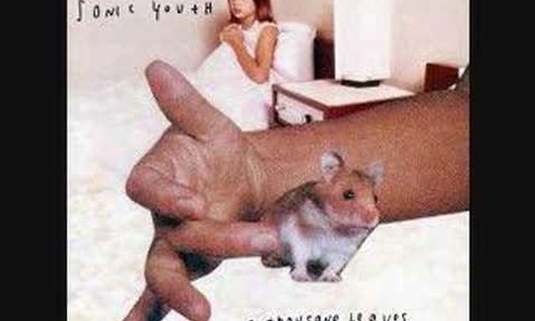 Sonic Youth - Hoarfrost