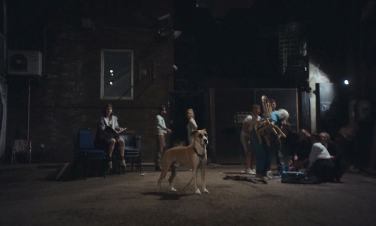 Panda Bear - Mr Noah (Official Video)