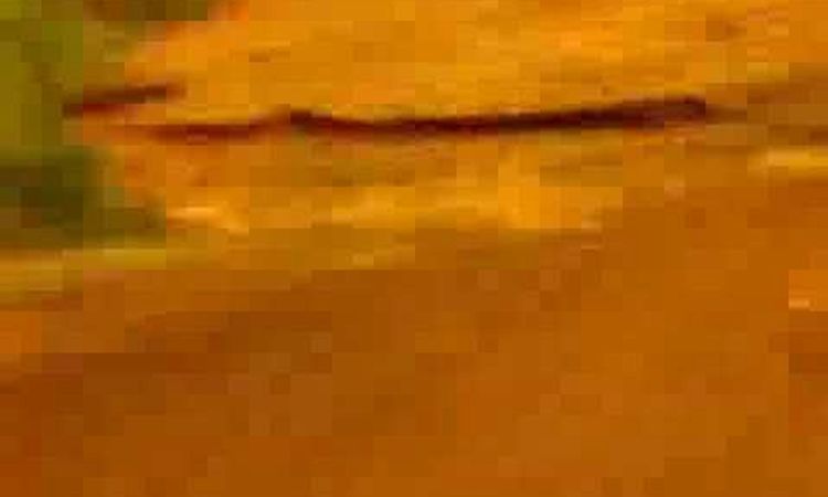 The Prodigy - Voodoo People (Official Video)
