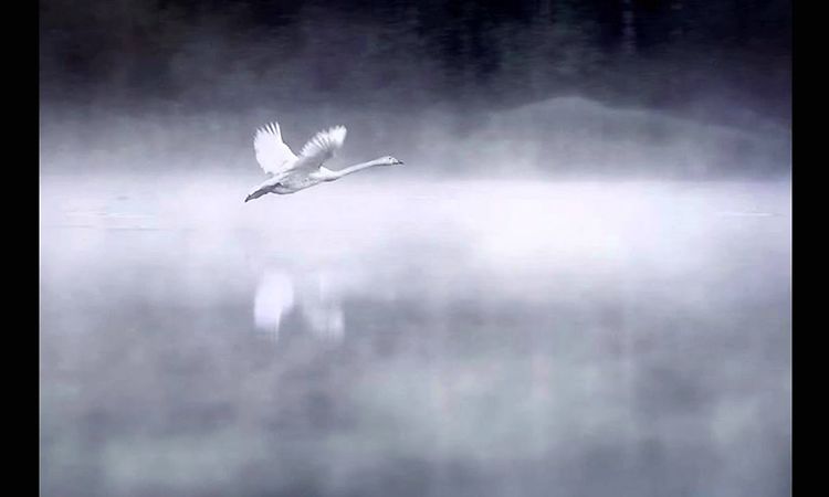 Tindersticks-I Know That Loving