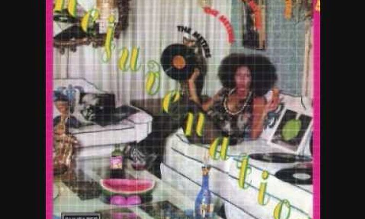 The Meters - Ain't No Use