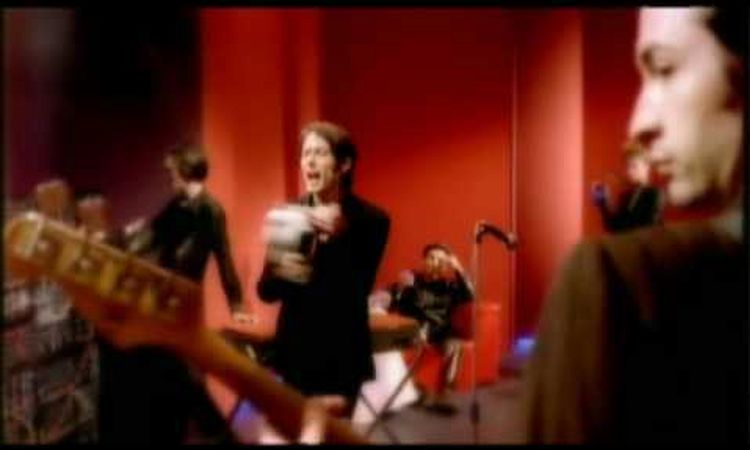 Suede - Trash